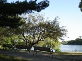 DSC08240.JPG